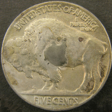 My-Poor-Wounded-Buffalo